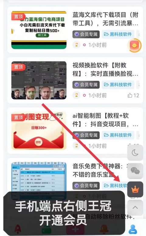 图片[2]-vip会员简介-千艺资源网